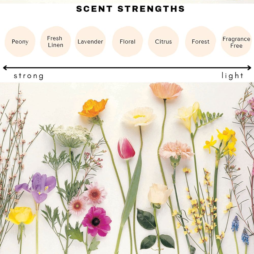Laundry Sheets (Sweet Floral) Laundry Sheets (Sweet Floral)